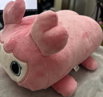 TWICE LOVELYS 6週年大趴趴-MOMO🩷