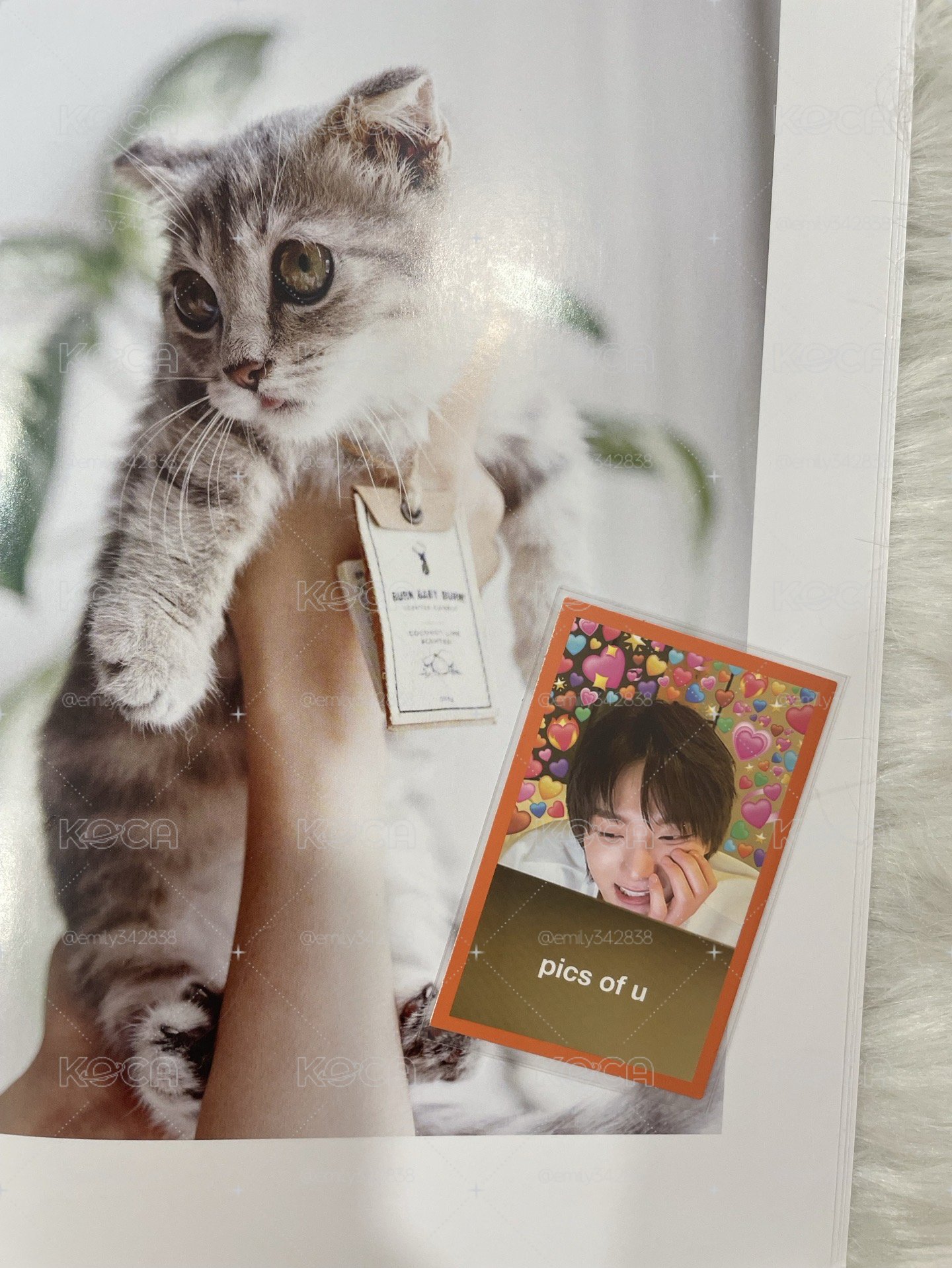 🍀【BND】how迷因卡🐈