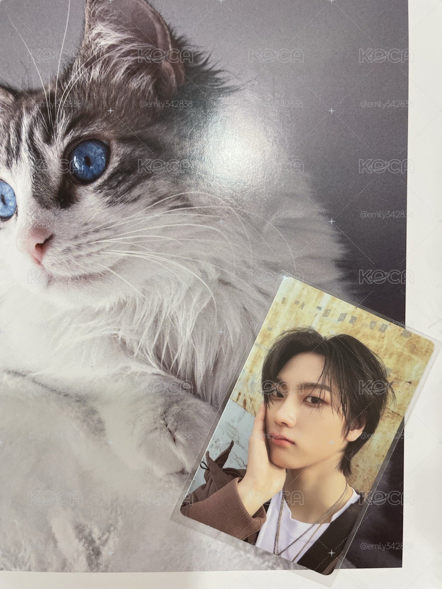 🍀【BND】who專輯卡🐈