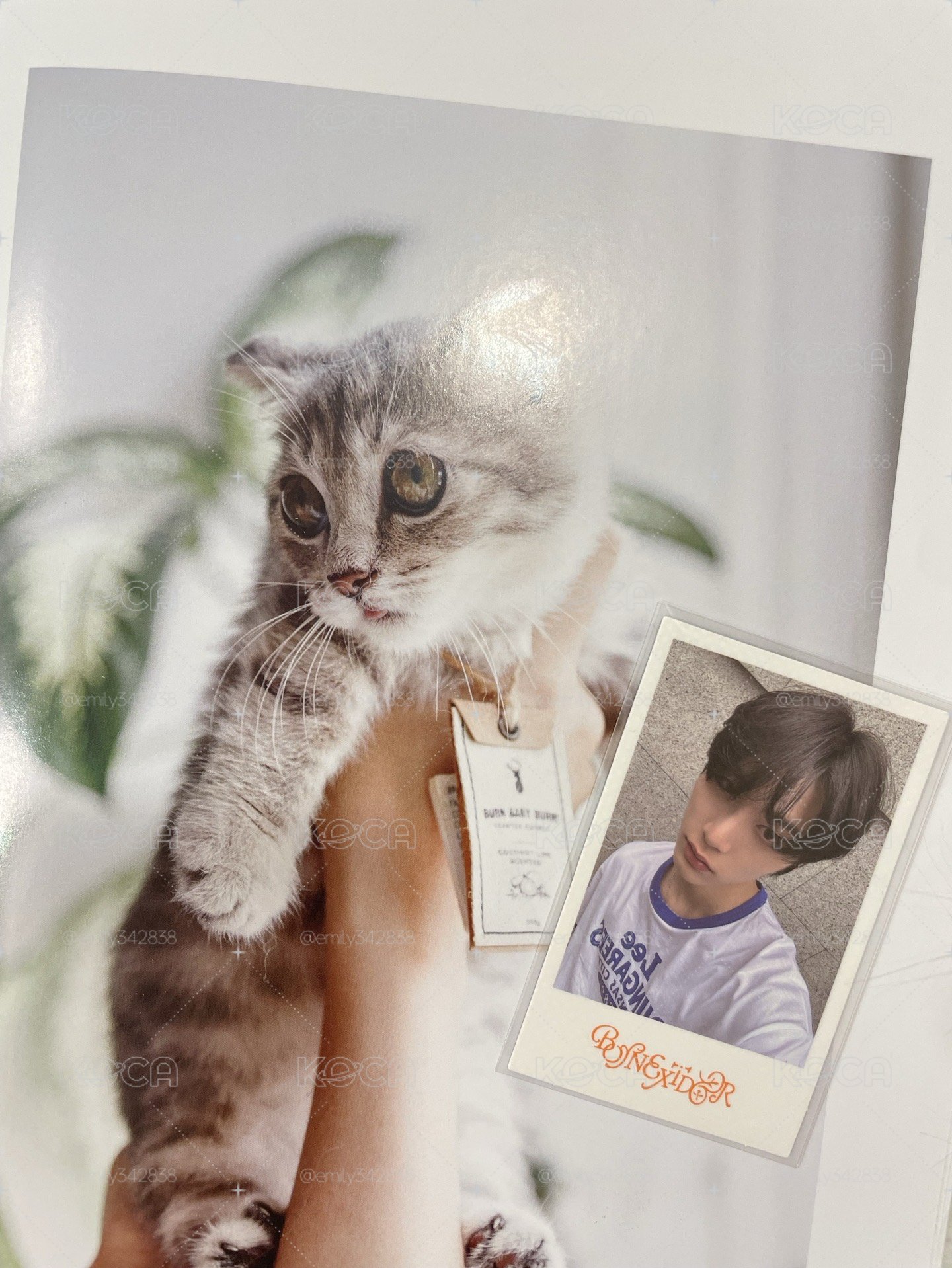 🍀【BND】馬德里回憶錄🐈‍⬛