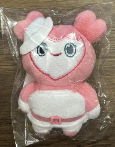 TWICE Breakthrough 吊娃-MOMO🩷