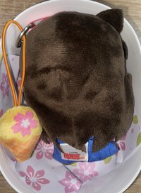 正版名偵探柯南咖啡廳盲盒 毛利蘭-毛絨玩偶便當盒 吊飾