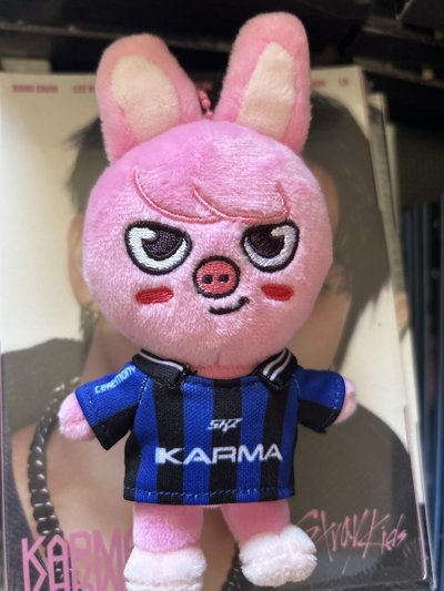 KARMA 電子專彬娃（only娃）