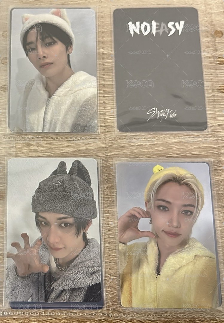 stray kids 塔店小動物