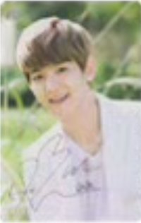 自然樂園 代言卡 護手霜