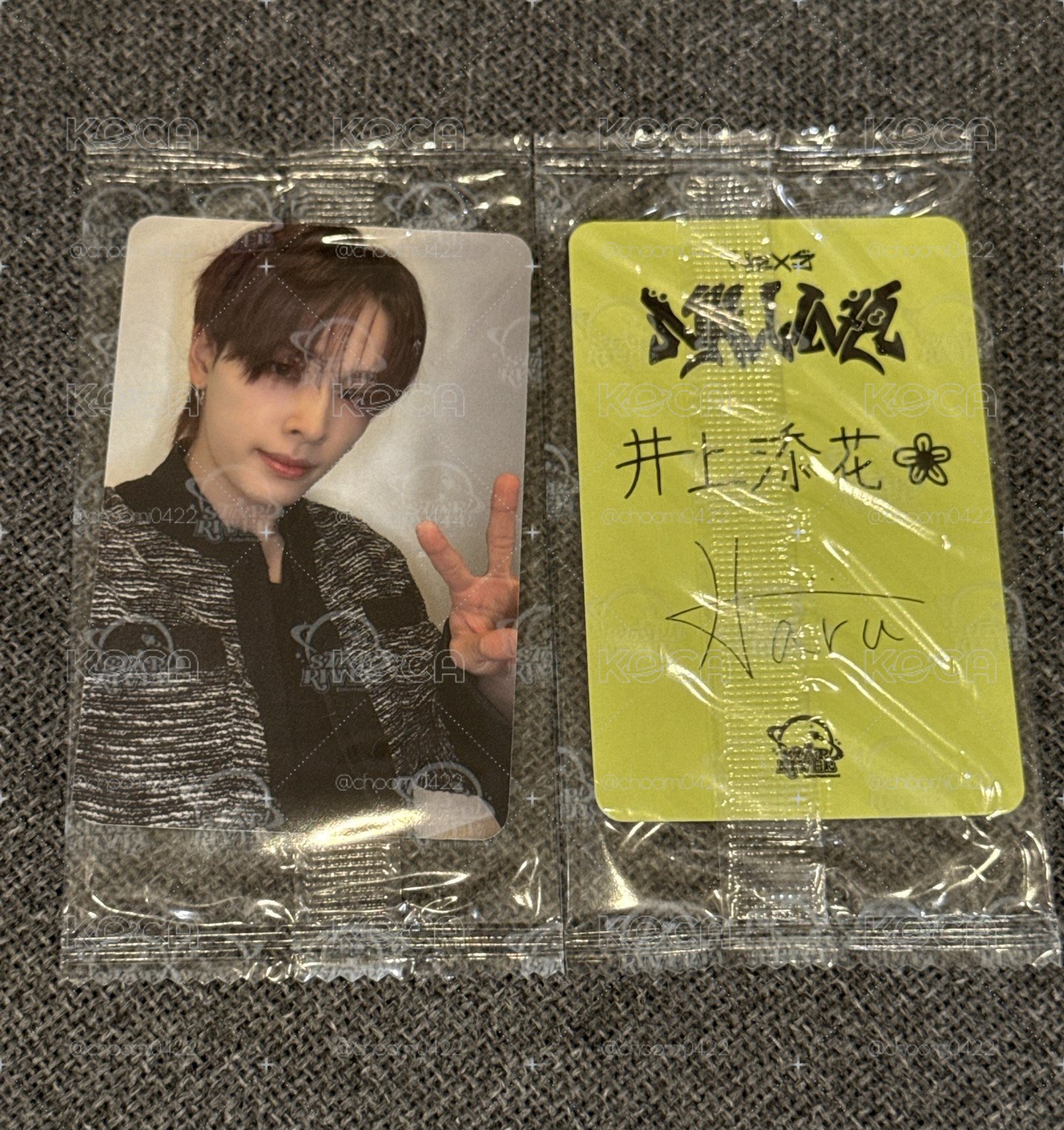nallina 星河1.0 Haru