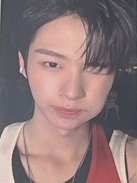 Snowy Summer 專輯卡 