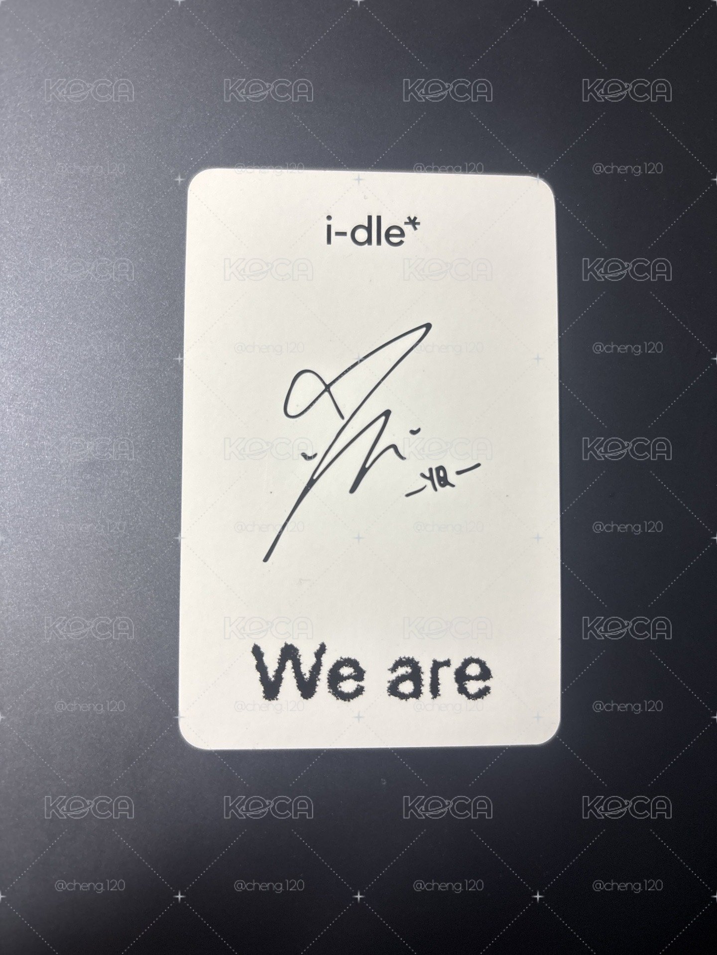 We are 特典卡  貓掌琦
