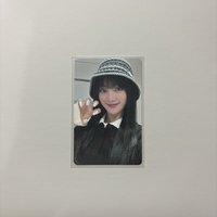 日巡隨機貓爪 妮