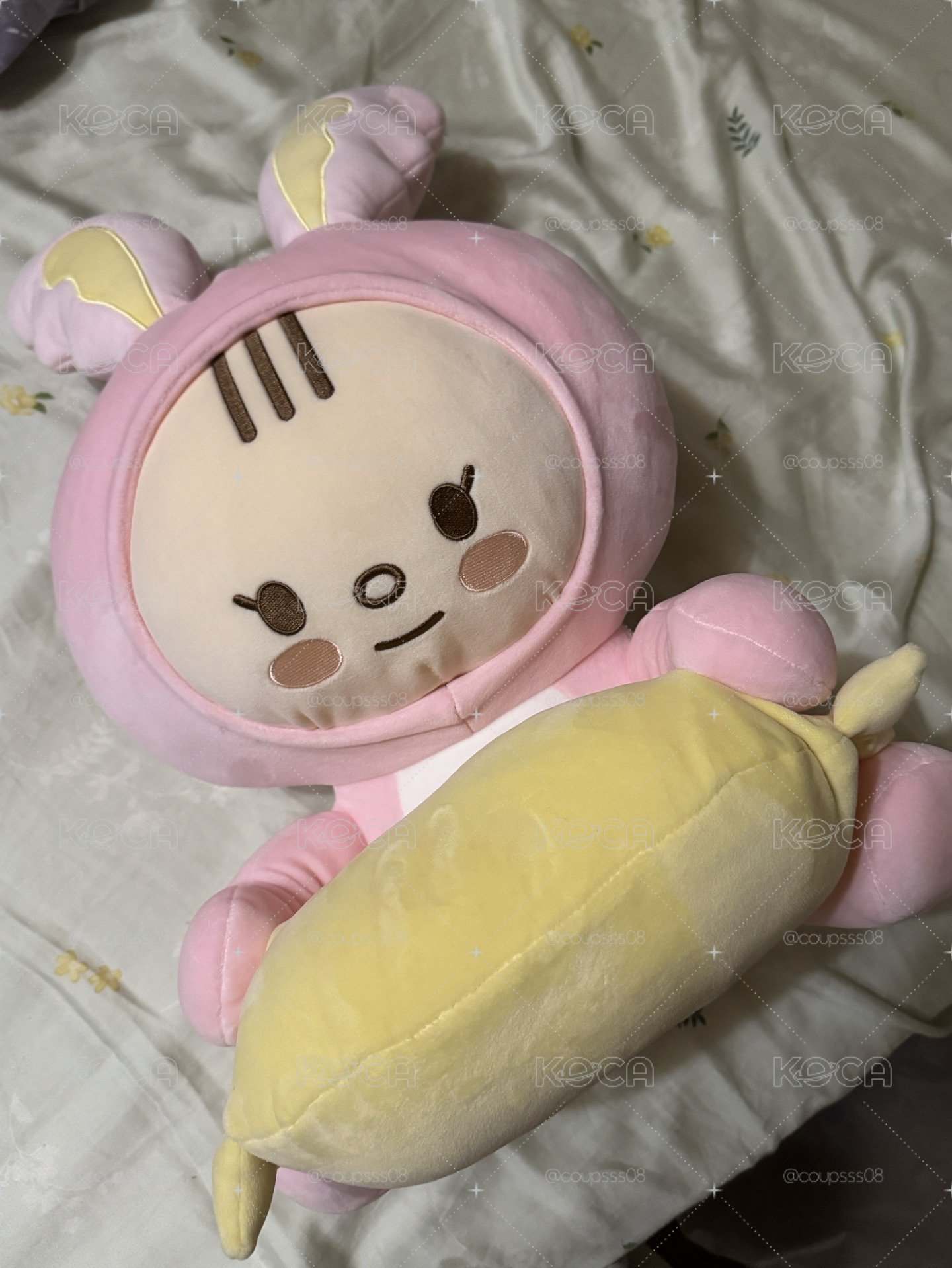 淨兔鼠