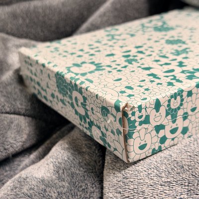 Herin 日專（未拆）