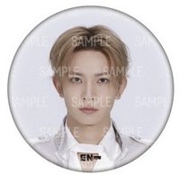 吸血鬼之家 徽章 