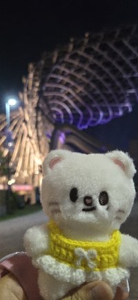 阿極