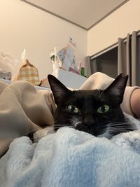 Gina