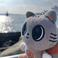 醬太鹹湯圓