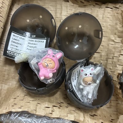 SKZOO BANDAI 扭蛋吊飾 