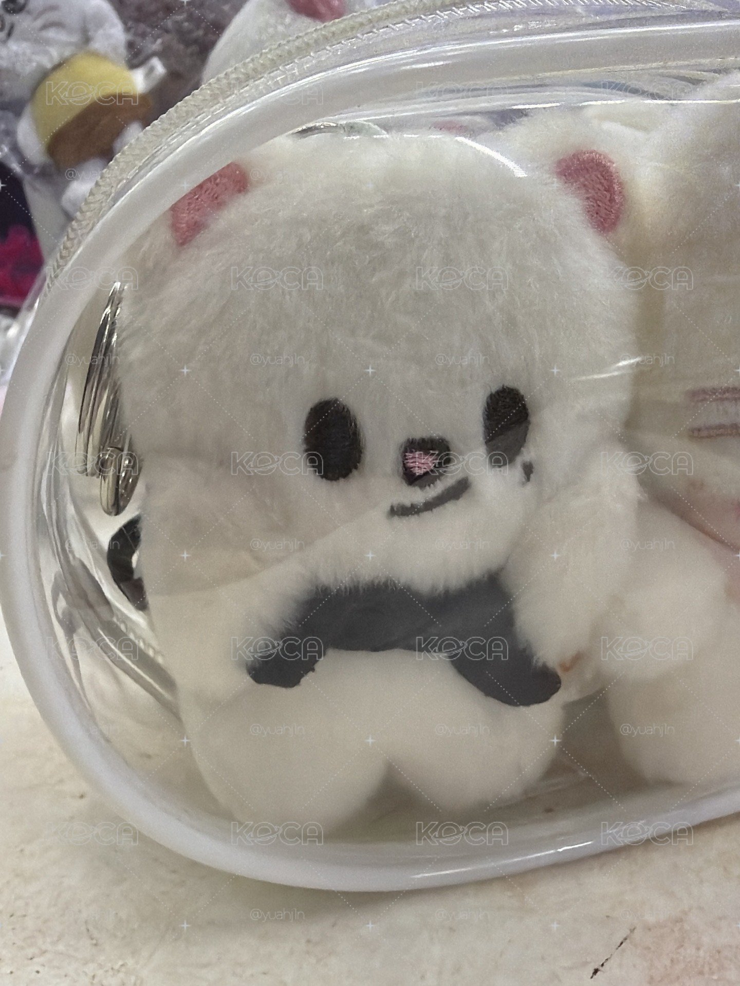 捧臉辰