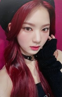 泰迪熊 日版 塔店 幸運卡 