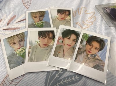 2024 dream week japan隨機拍立得