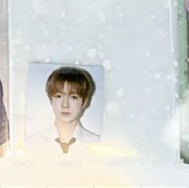 24fm 周邊卡 證件照 背面