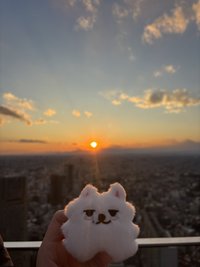 S街