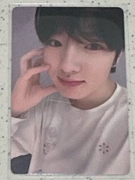 你的饅頭已抵達（中文卡背）