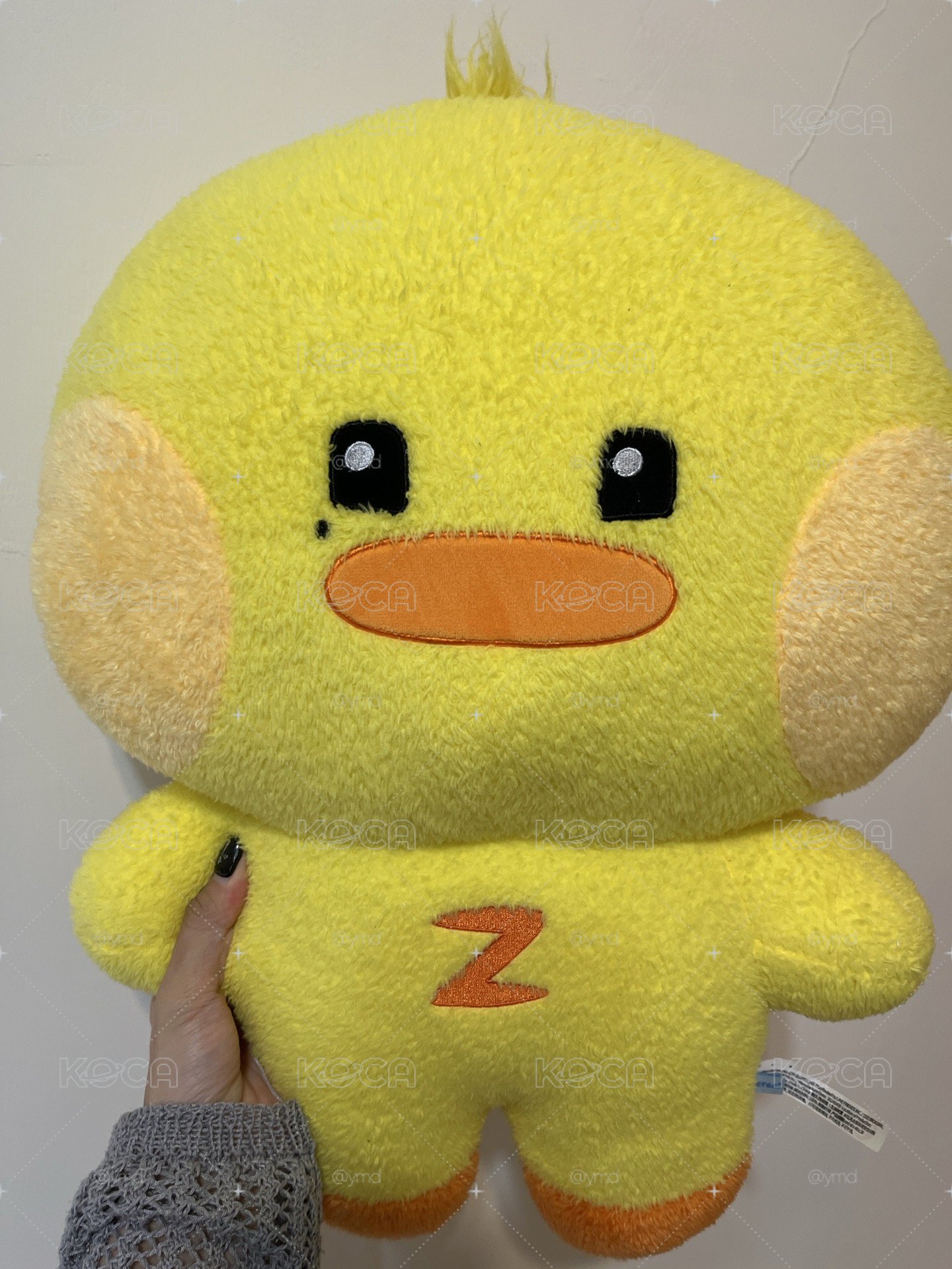 二手Taenini大娃