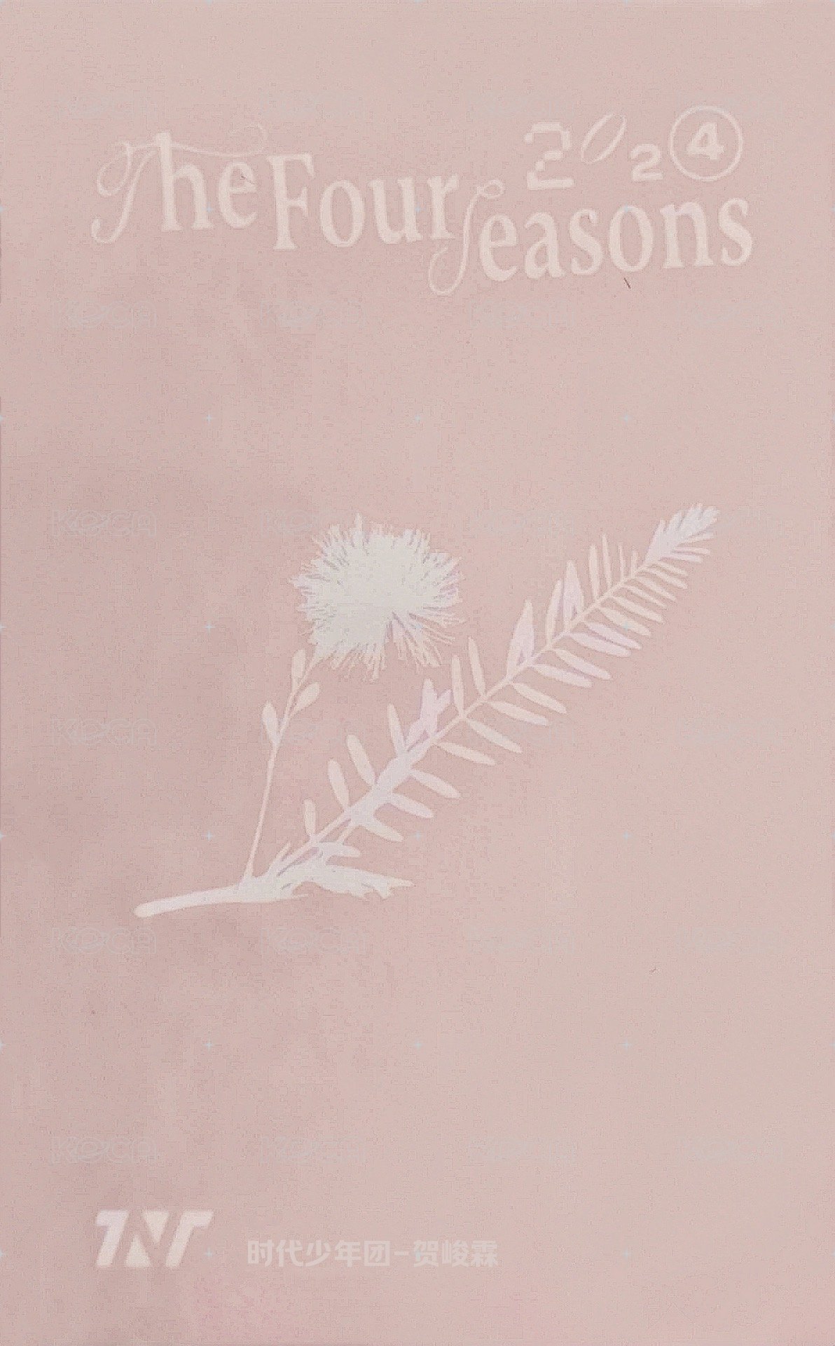 24‘台曆 隨機卡  背面