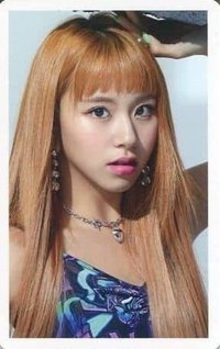 JP正規一 專輯卡 