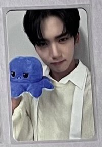 迷二 OY 生氣章魚