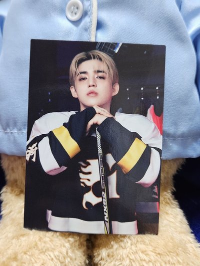 Seventeen home 哲卡