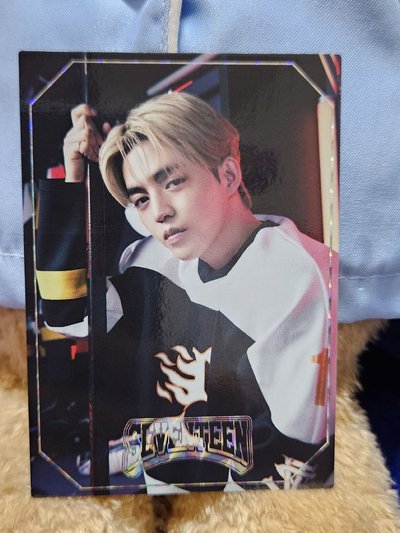 Seventeen home 哲卡