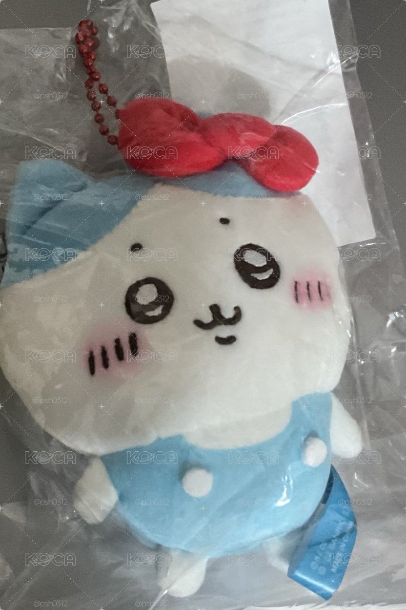 kitty小八