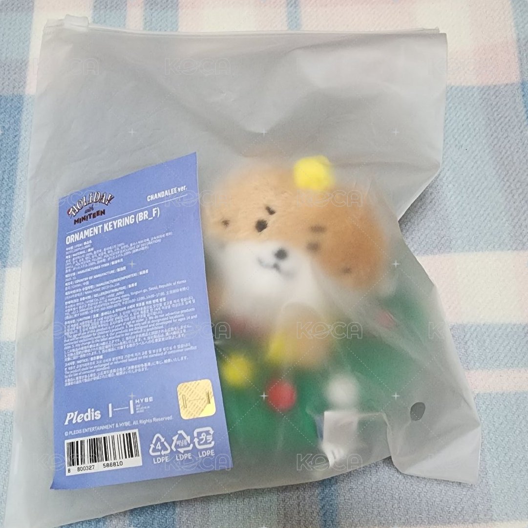 Dino聖誕花環娃