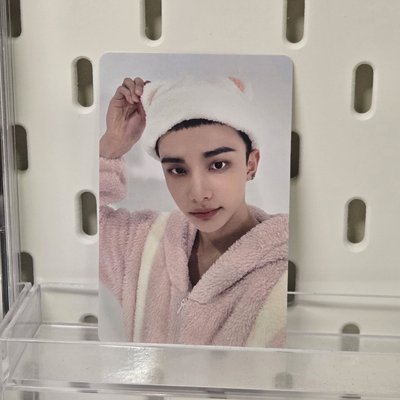 Hollow塔店 萌萌辰！萌萌貂！