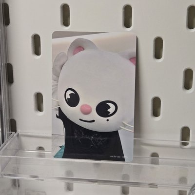 Hollow塔店 萌萌辰！萌萌貂！