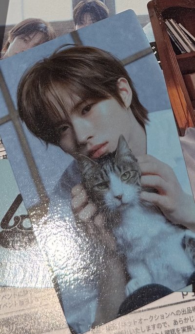 申惟日專單封+圖二初回A專卡（含A版專）