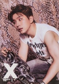 THE X "underdog X" 明信片 