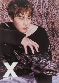 THE X "underdog X" 明信片 
