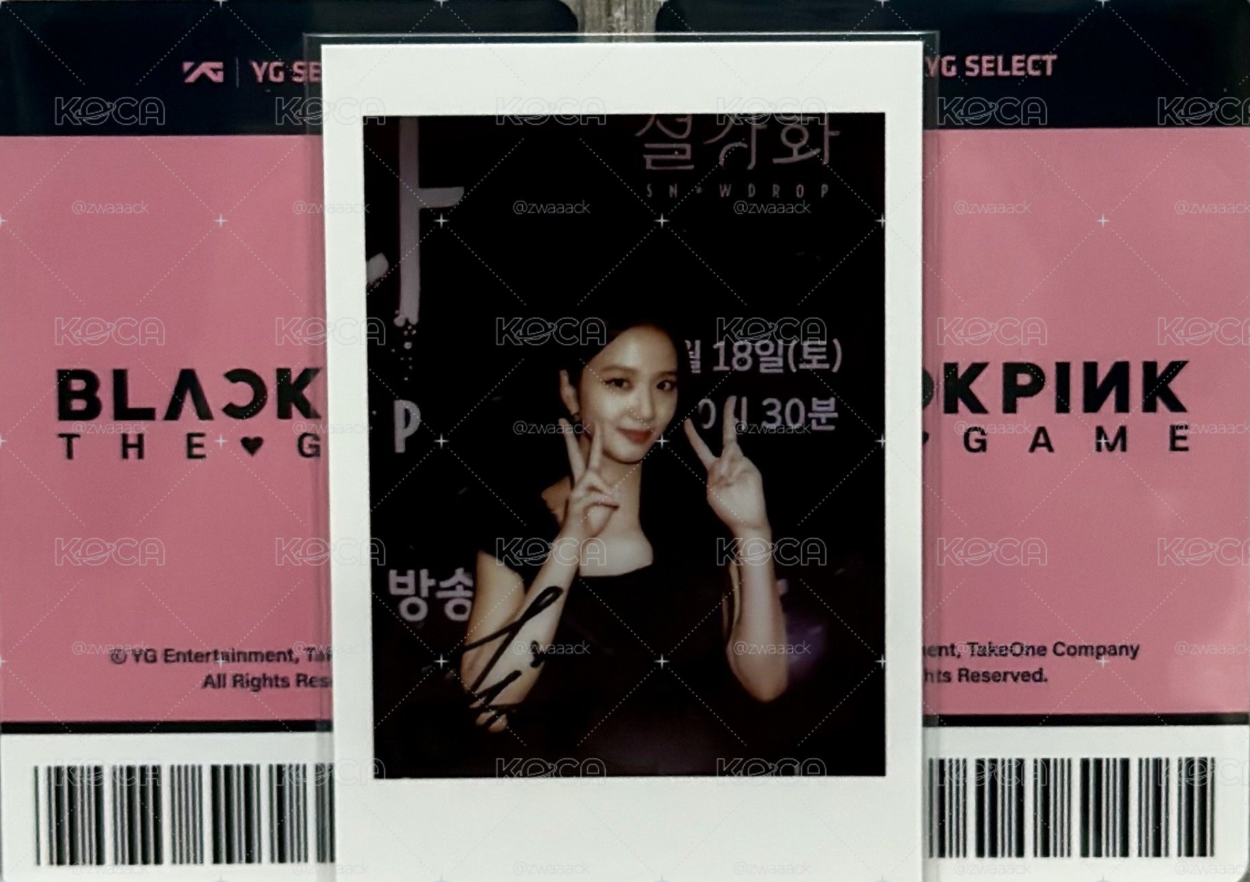 Jisoo 雪降花拍立得