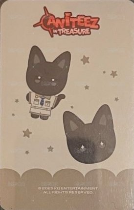 ANITEEZ IN TREASURE 周邊卡 STICON 背面