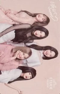 Etude House 代言卡 團卡