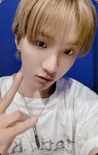 The Action oy 特典卡 