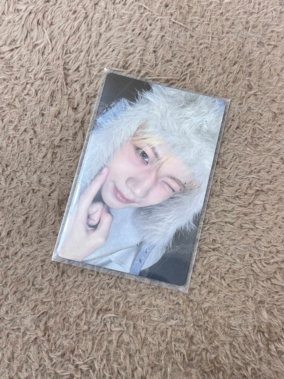 健真毛毛帽🦦