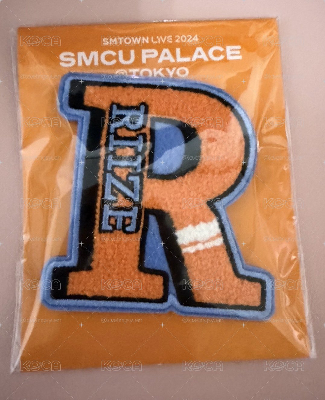 RIIZE SMTOWN 別針