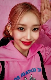 泰迪熊 el 2.0 簽售卡 