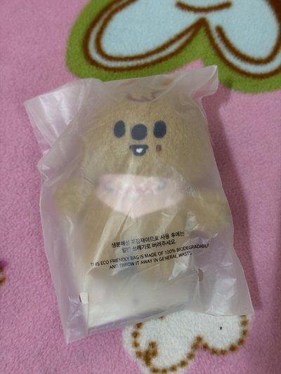 SKZ 5th FM 娃娃玩偶 城 口水巾娃