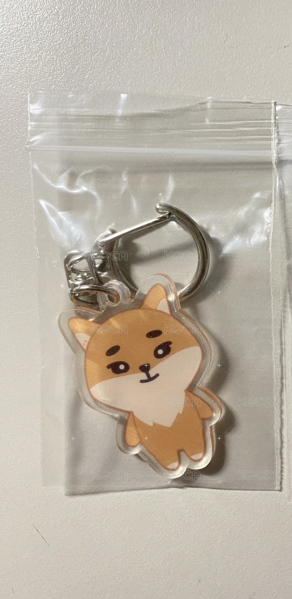 左🦊