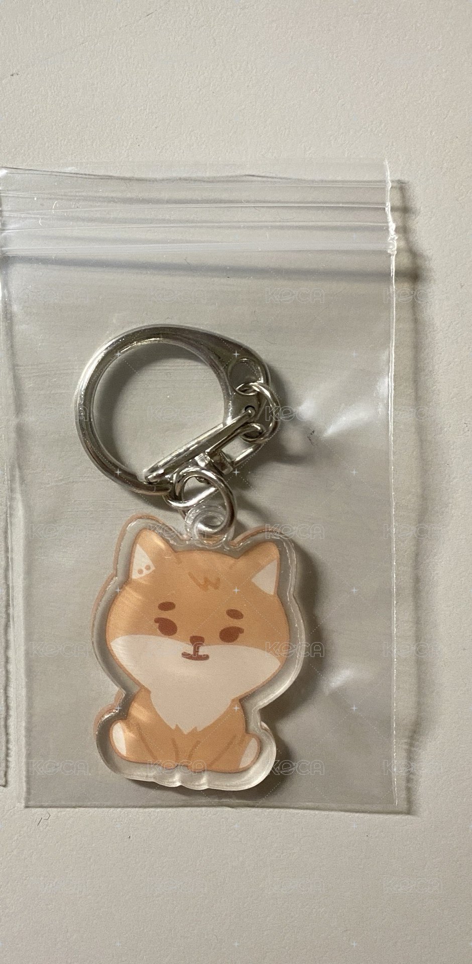 右🦊