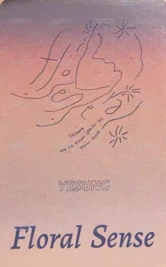 正一後續 yzy 簽售卡  背面